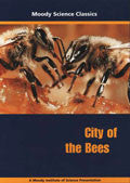 Moody Science Classics: City Of The Bees DVD - Various Artists - Re-vived.com