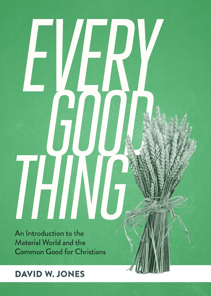 Every Good Thing - Re-vived