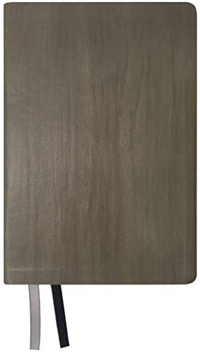 NASB 2020 Giant Print Text Bible, Grey - Re-vived