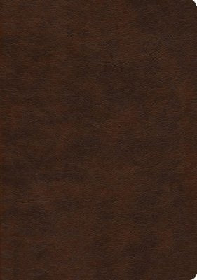 NASB 2020 Large Print Ultrathin Reference Bible, Brown - Re-vived