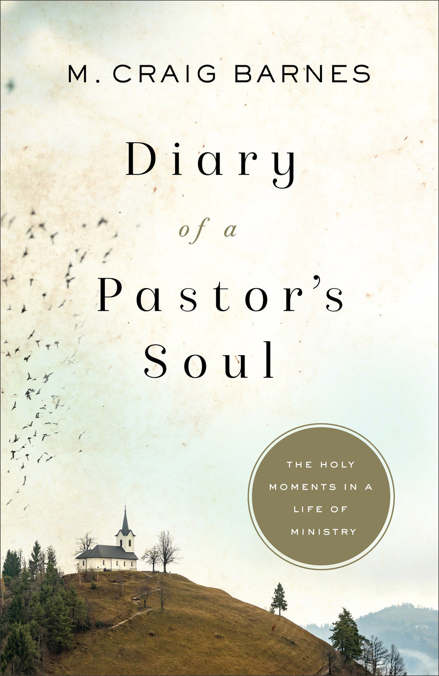 Diary of a Pastor's Soul - Re-vived
