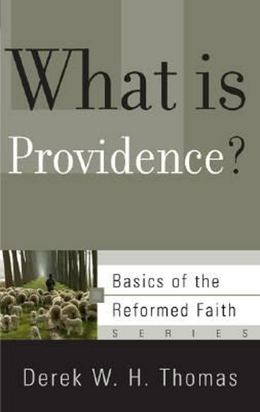 What is Providence? - Re-vived