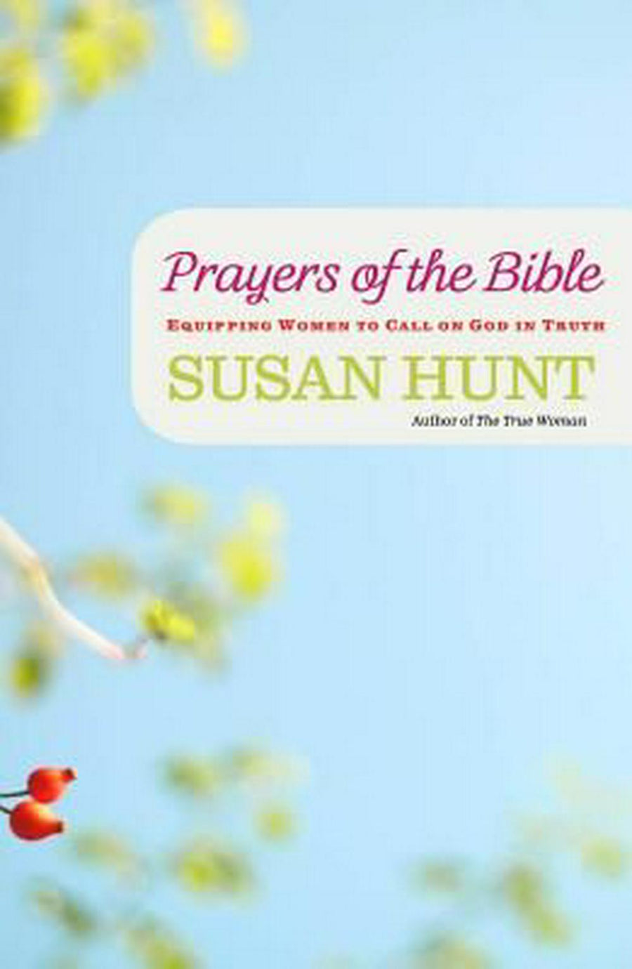 Prayers of the Bible - Re-vived