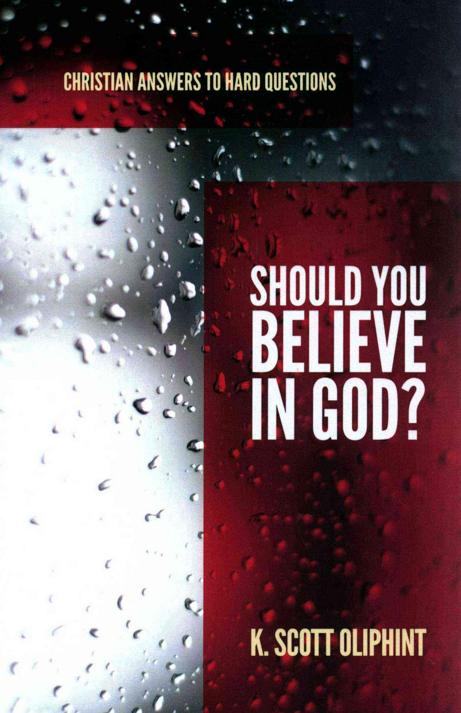 Should You Believe in God? - Re-vived