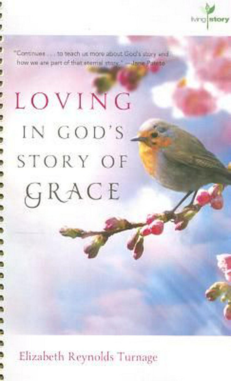 Loving in God's Story of Grace - Re-vived