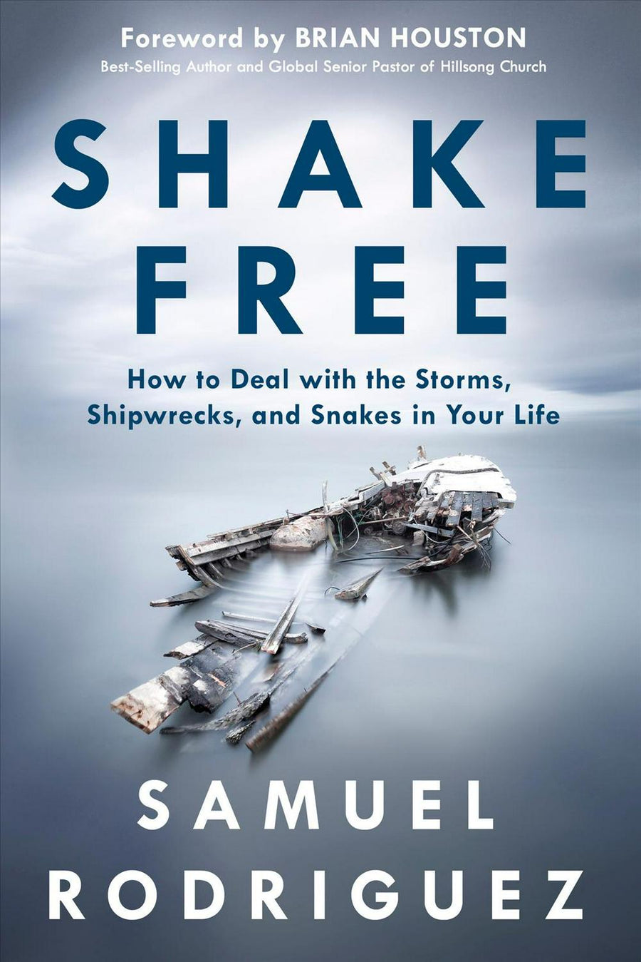 Shake Free - Re-vived