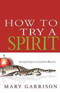 How To Try A Spirit Paperback Book - Mary Garrison - Re-vived.com