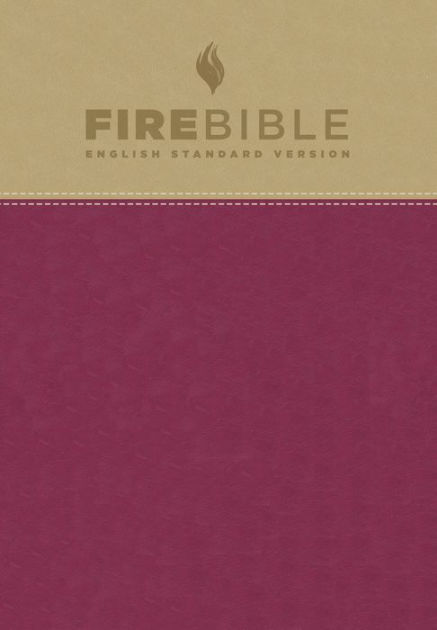 ESV Fire Bible, Tan/Berry
