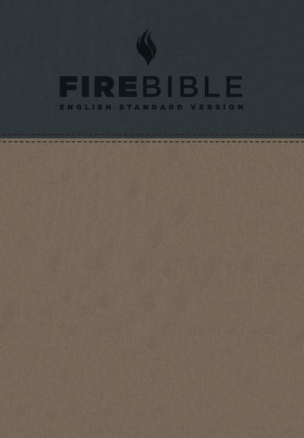 ESV Fire Bible, Gray/Slate