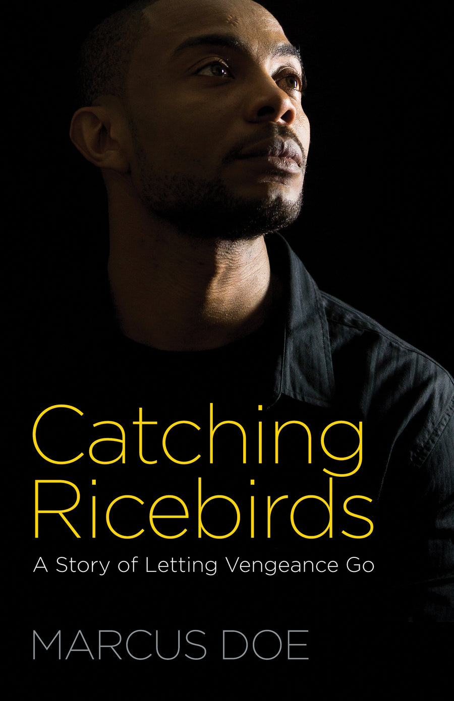 Catching Ricebirds - Re-vived