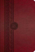 MEV Thinline Reference Bible Cranberry Imitation Leather - N/A - Re-vived.com