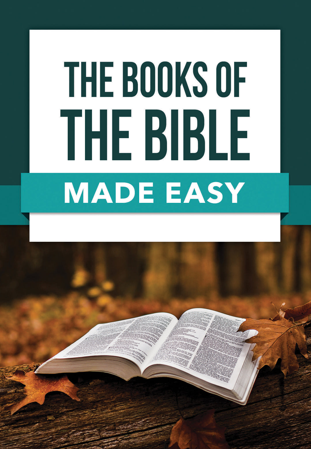 Books of the Bible Made Easy - Re-vived