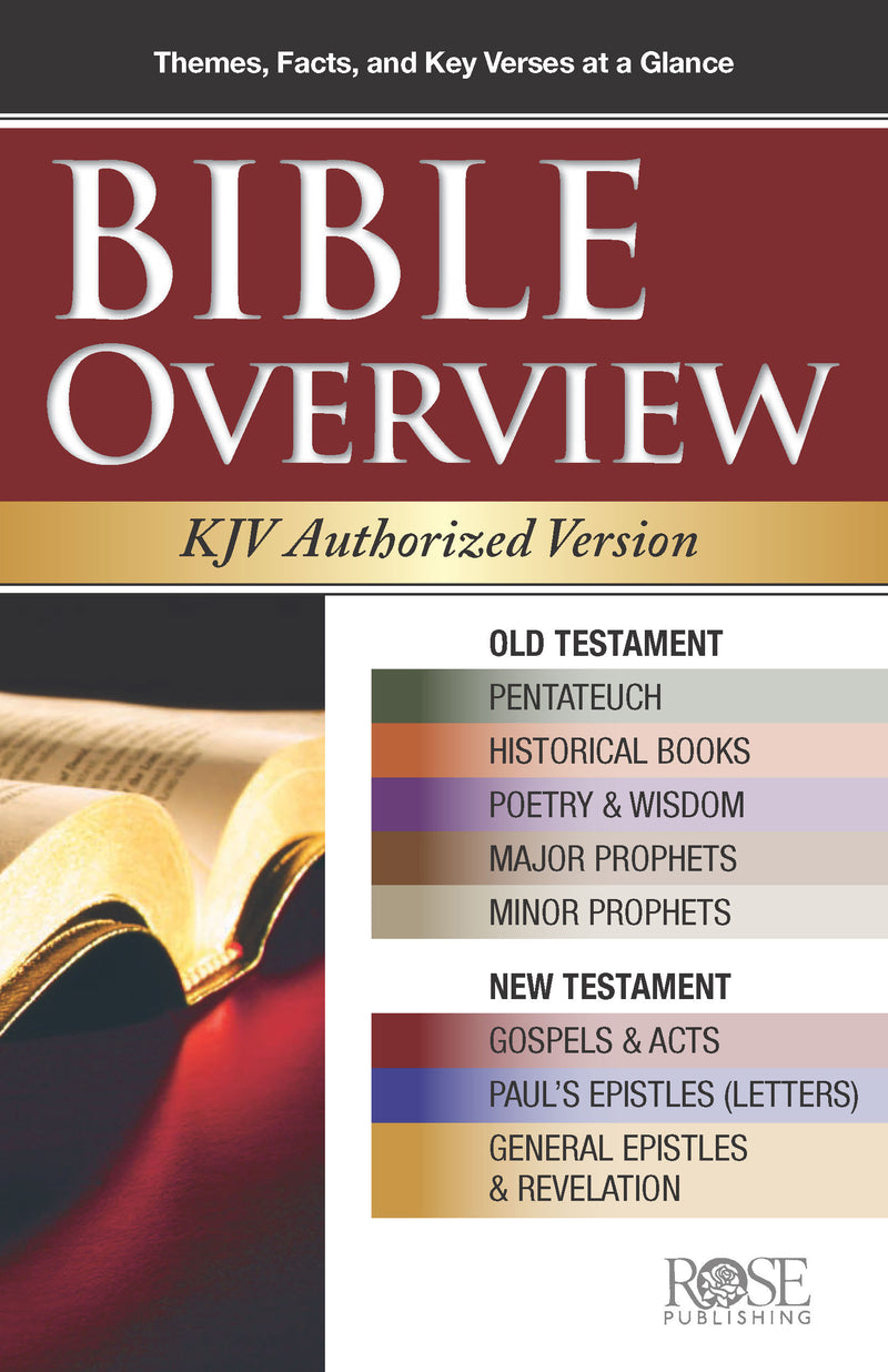 Bible Overview KJV Authorized Version (pack of 5)