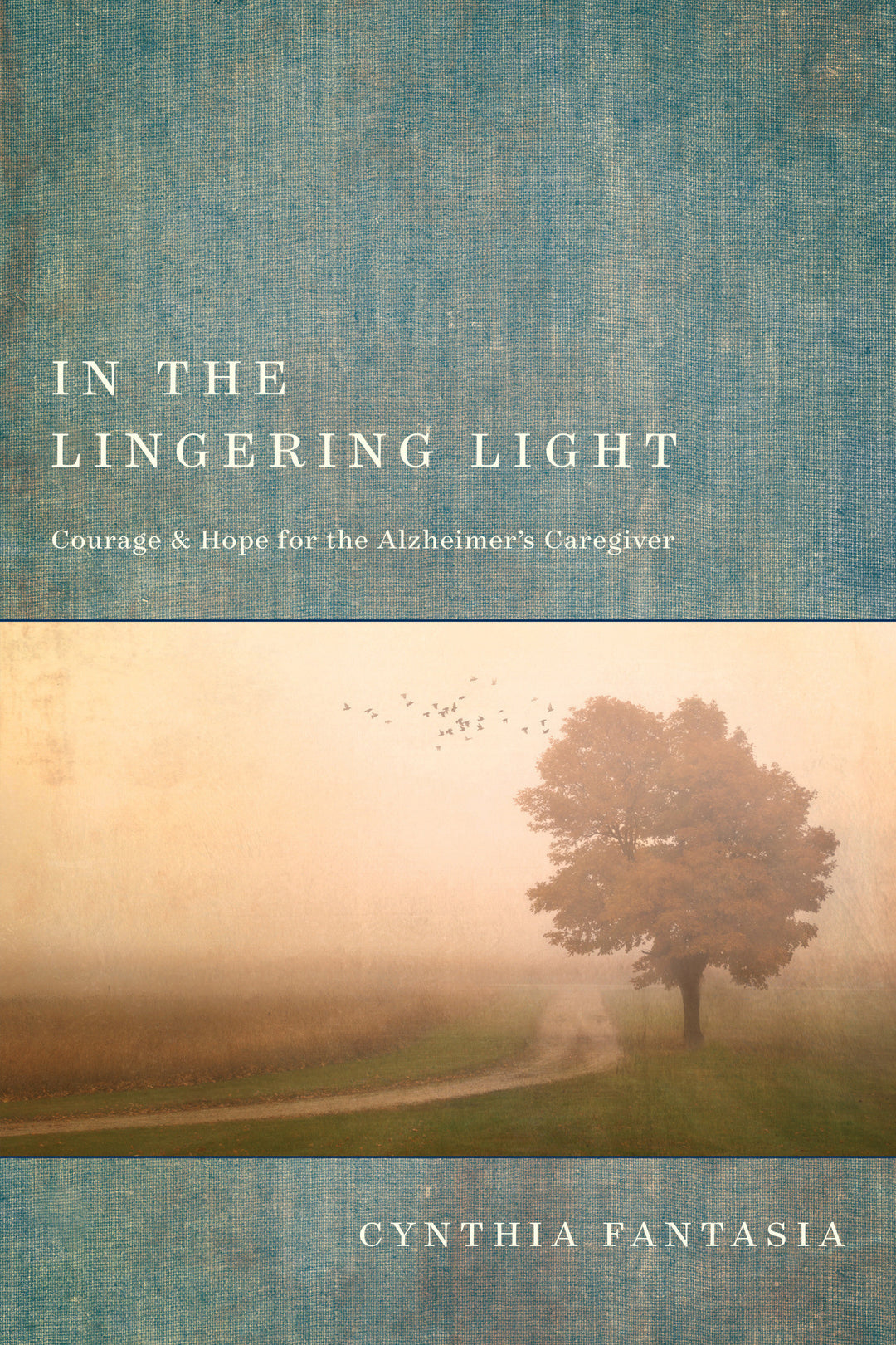In the Lingering Light - Re-vived