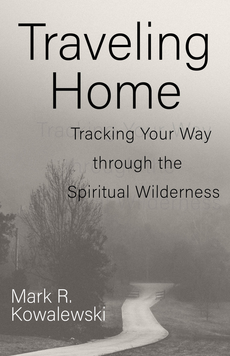 Traveling Home - Re-vived