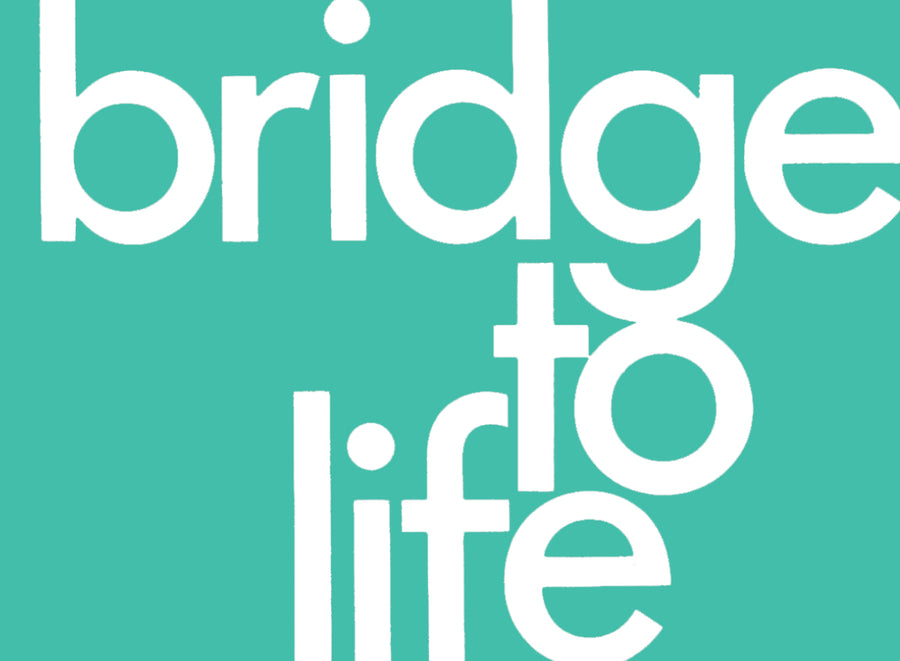 Bridge to Life Tracts (pack of 25) - Re-vived