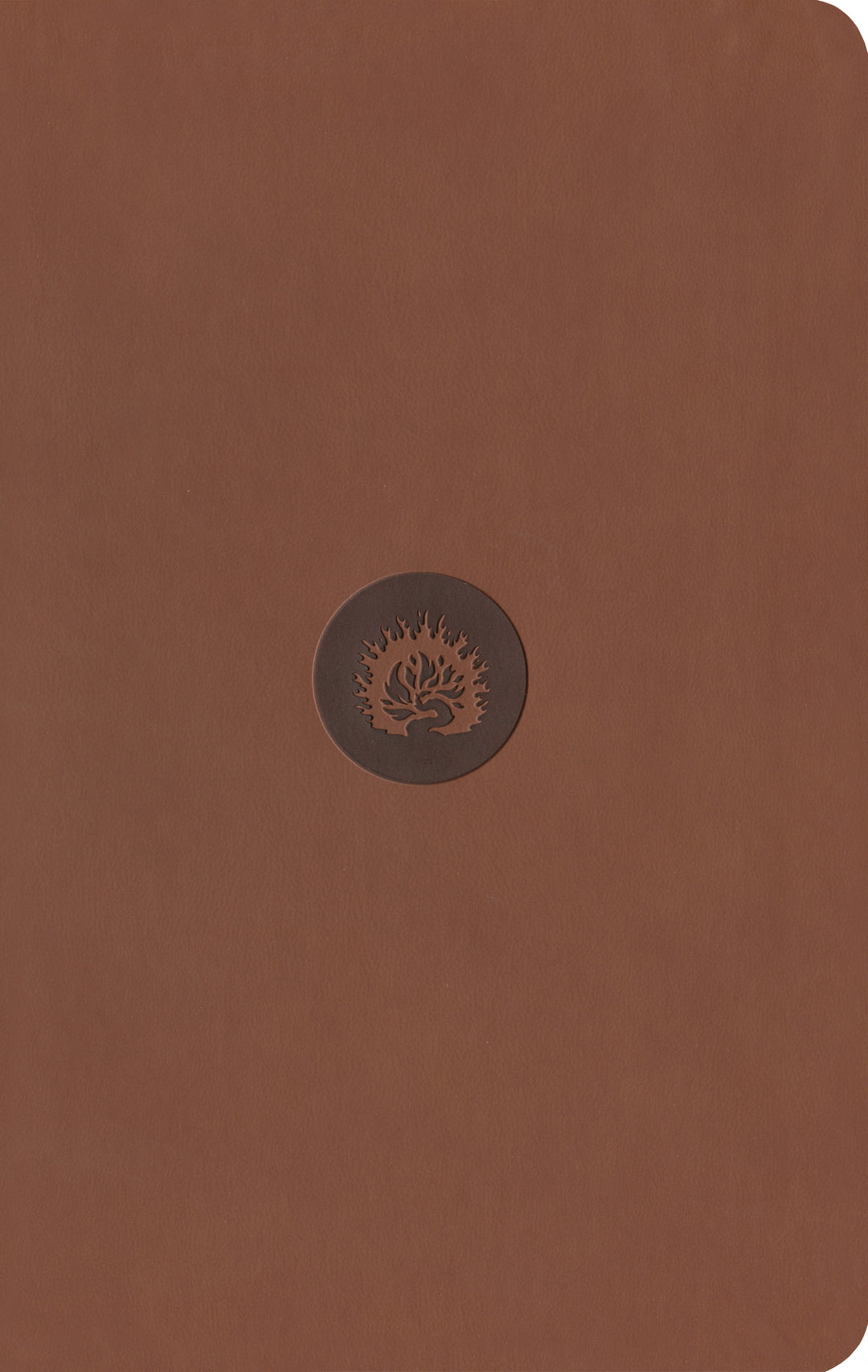 ESV Reformation Study Bible, Student Edition, Brown