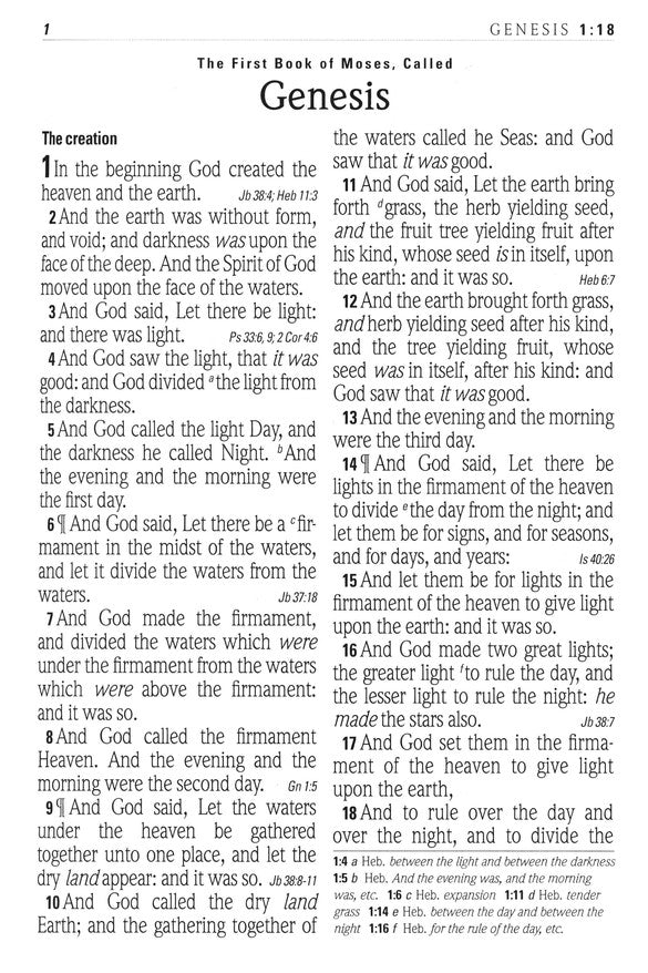 KJV Super Giant Print Reference Bible, Brown, Indexed - Re-vived