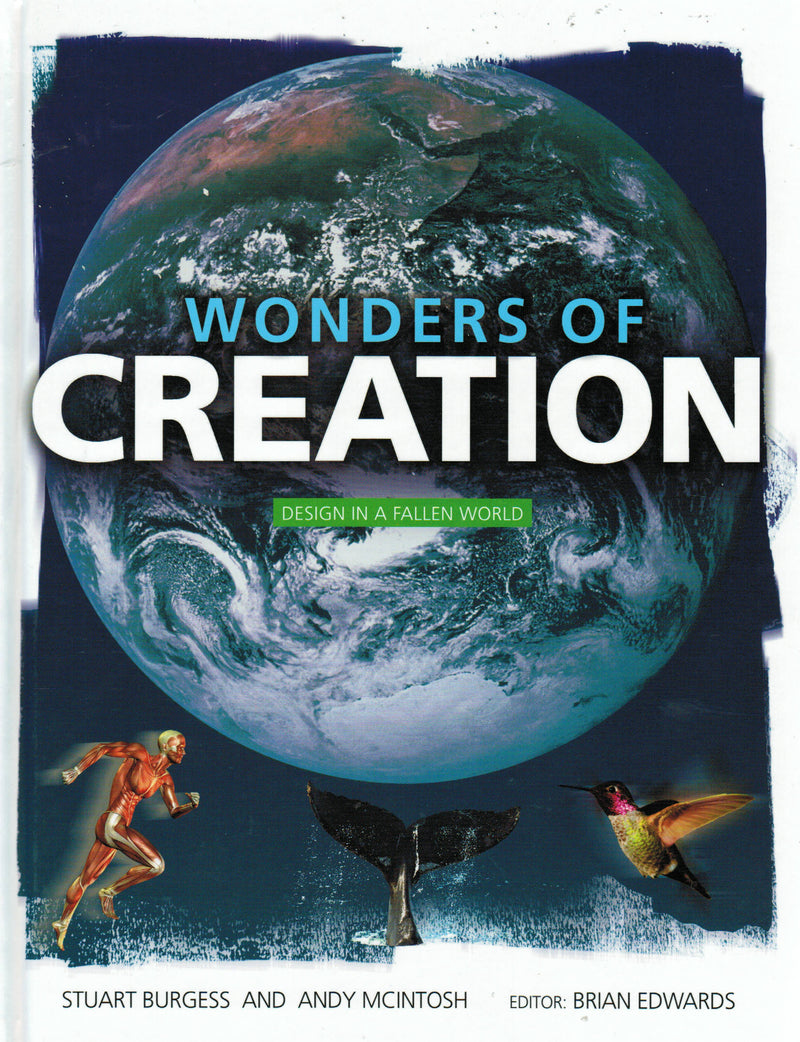Wonders of Creation - Re-vived