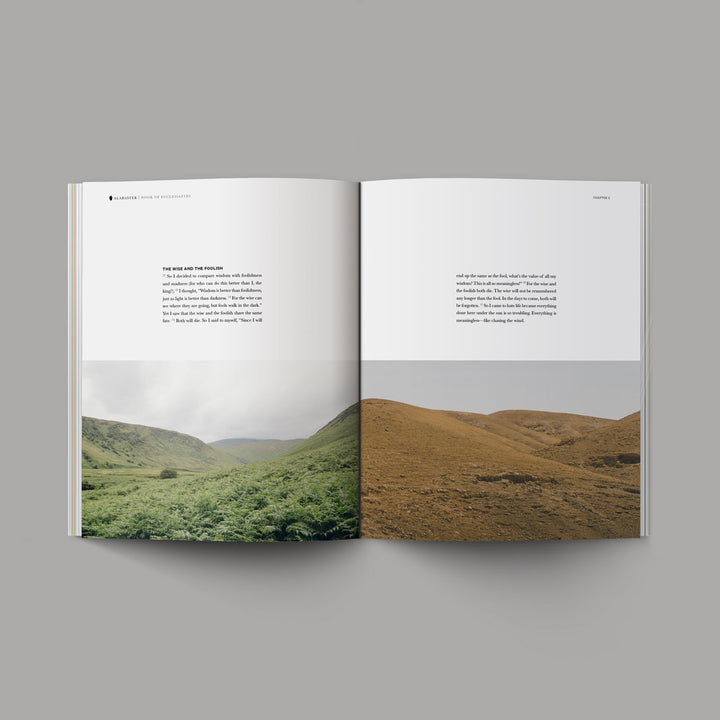 Book of Ecclesiastes - Re-vived