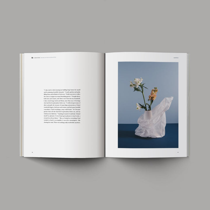 Book of Ecclesiastes - Re-vived