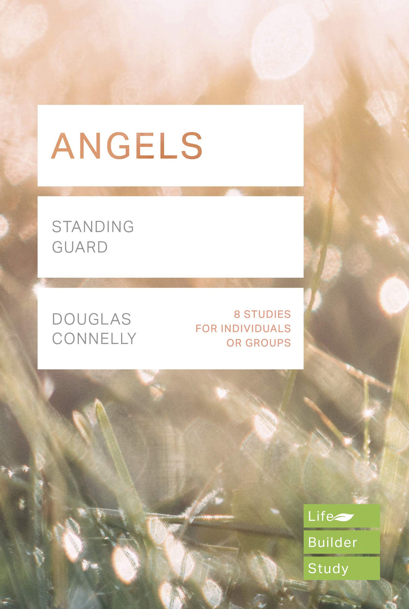 Lifebuilder: Angels