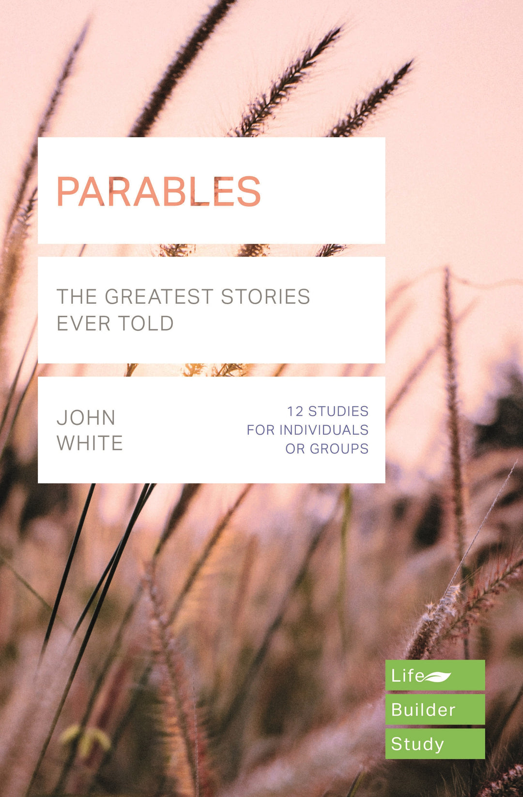 Lifebuilder: Parables - Re-vived