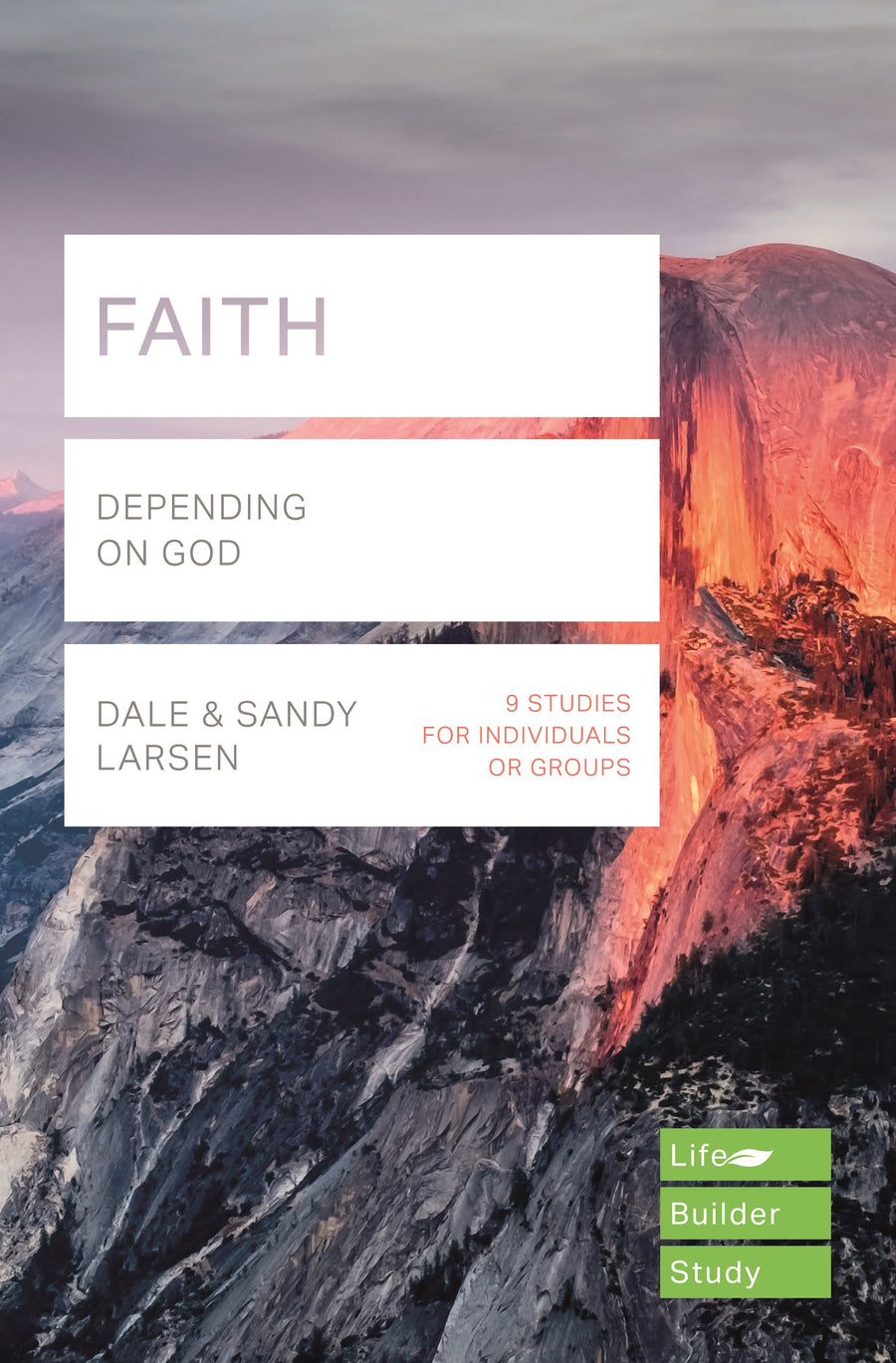 Lifebuilder: Faith - Re-vived