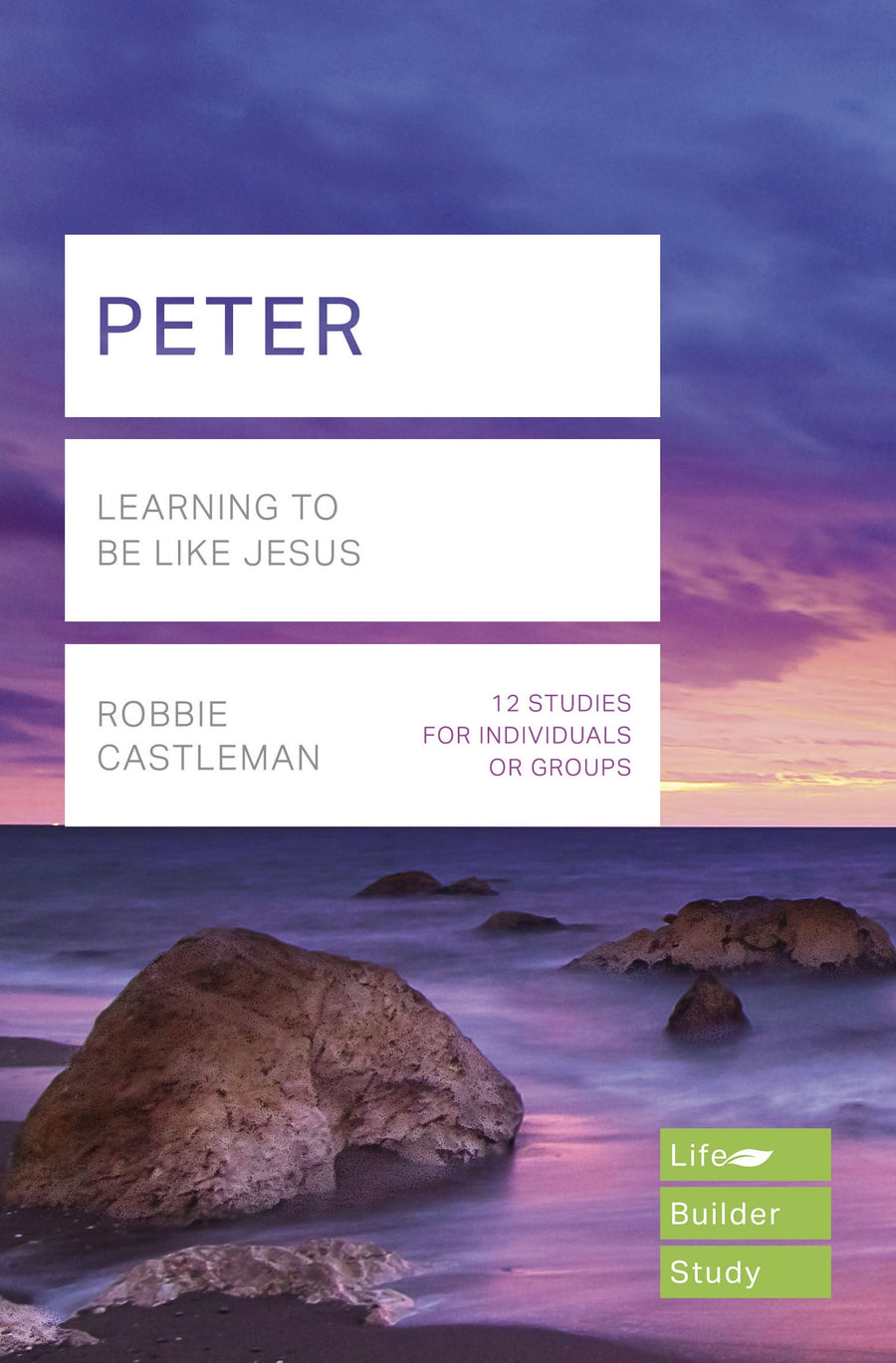 LifeBuilder: Peter - Re-vived