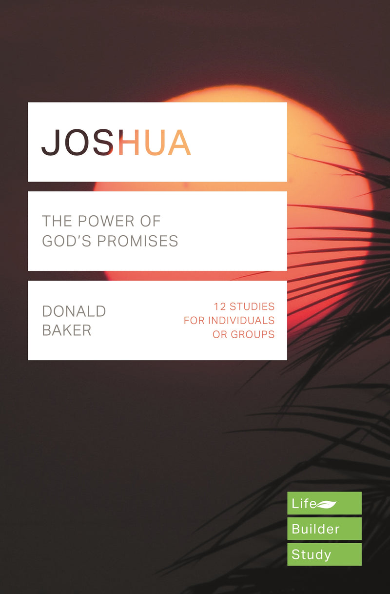 LifeBuilder: Joshua - Re-vived