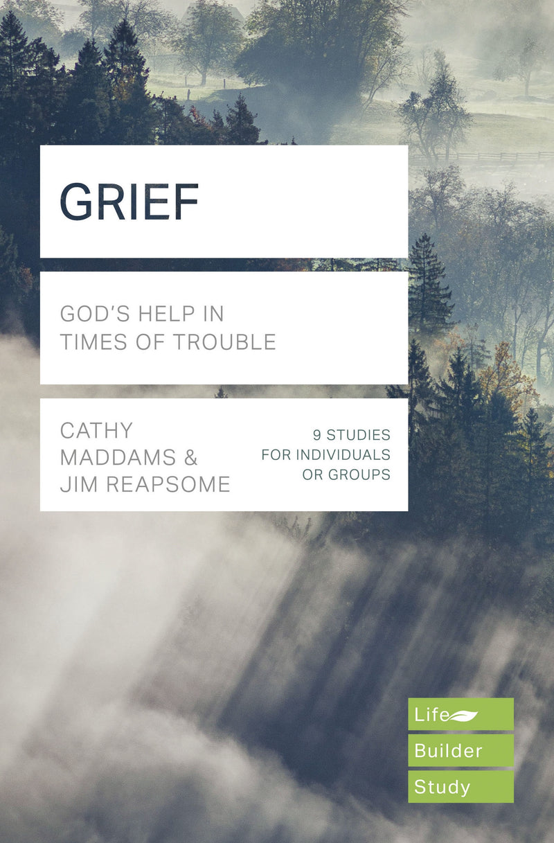 LifeBuilder: Grief