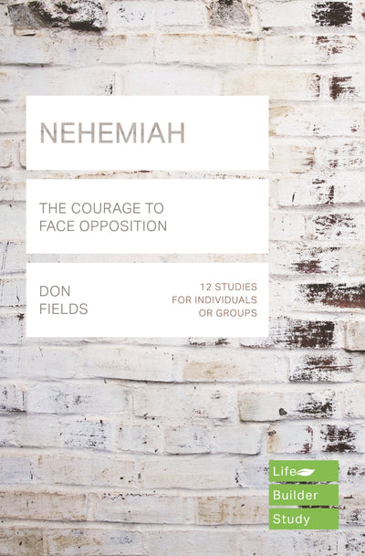 LifeBuilder: Nehemiah - Re-vived