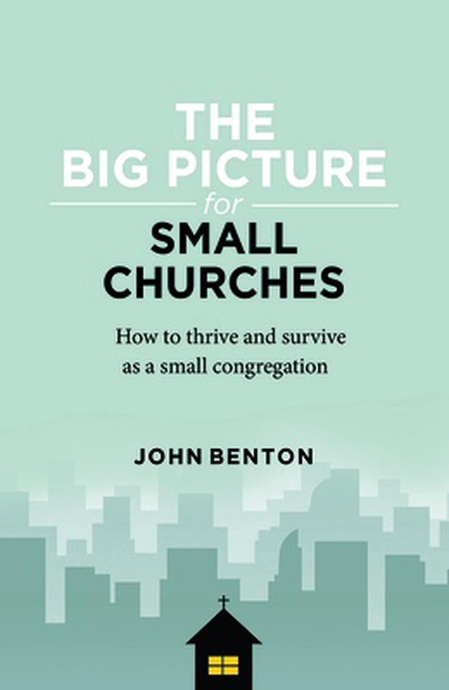 The Big Picture for Small Churches - Re-vived