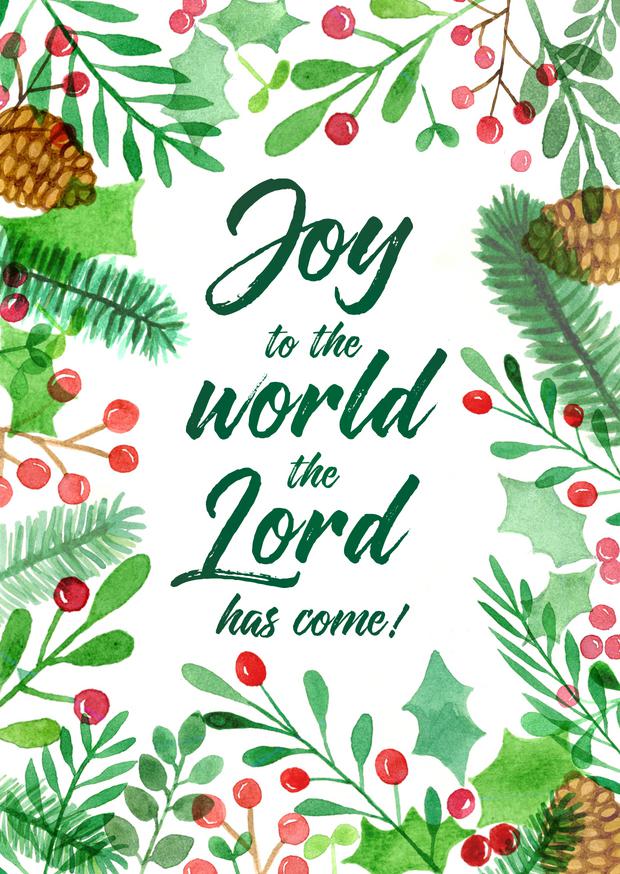 Joy to the World Christmas Cards (pack of 6)