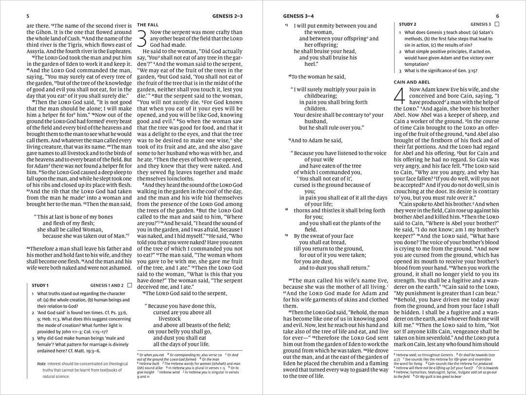 ESV Search the Scriptures Bible - Re-vived