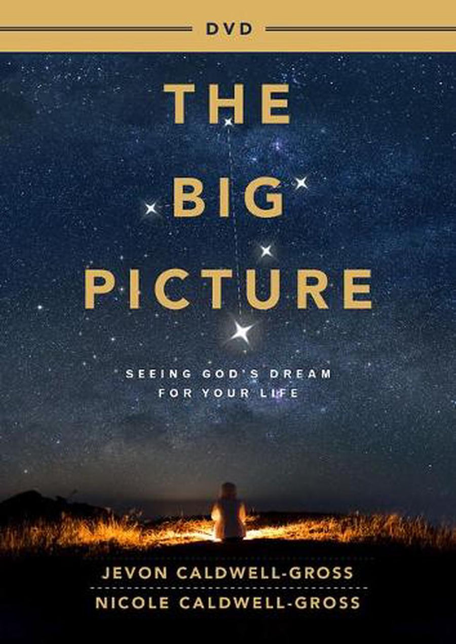 The Big Picture DVD - Re-vived