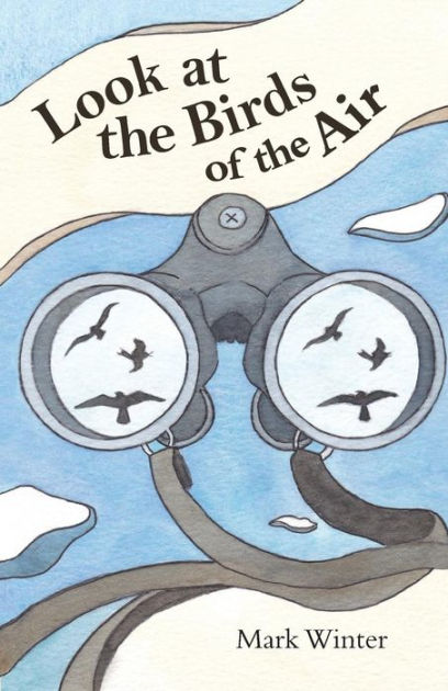 Look at the Birds of the Air - Re-vived