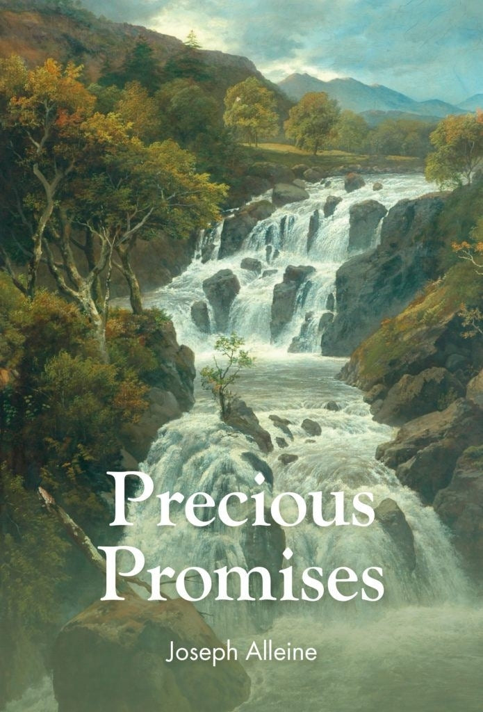 Precious Promises - Re-vived