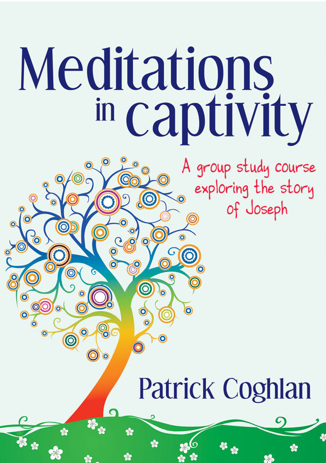 Meditations in Captivity - Re-vived