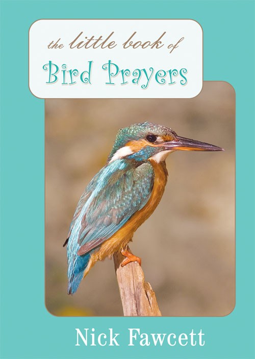 The Little Book of Bird Prayers - Re-vived