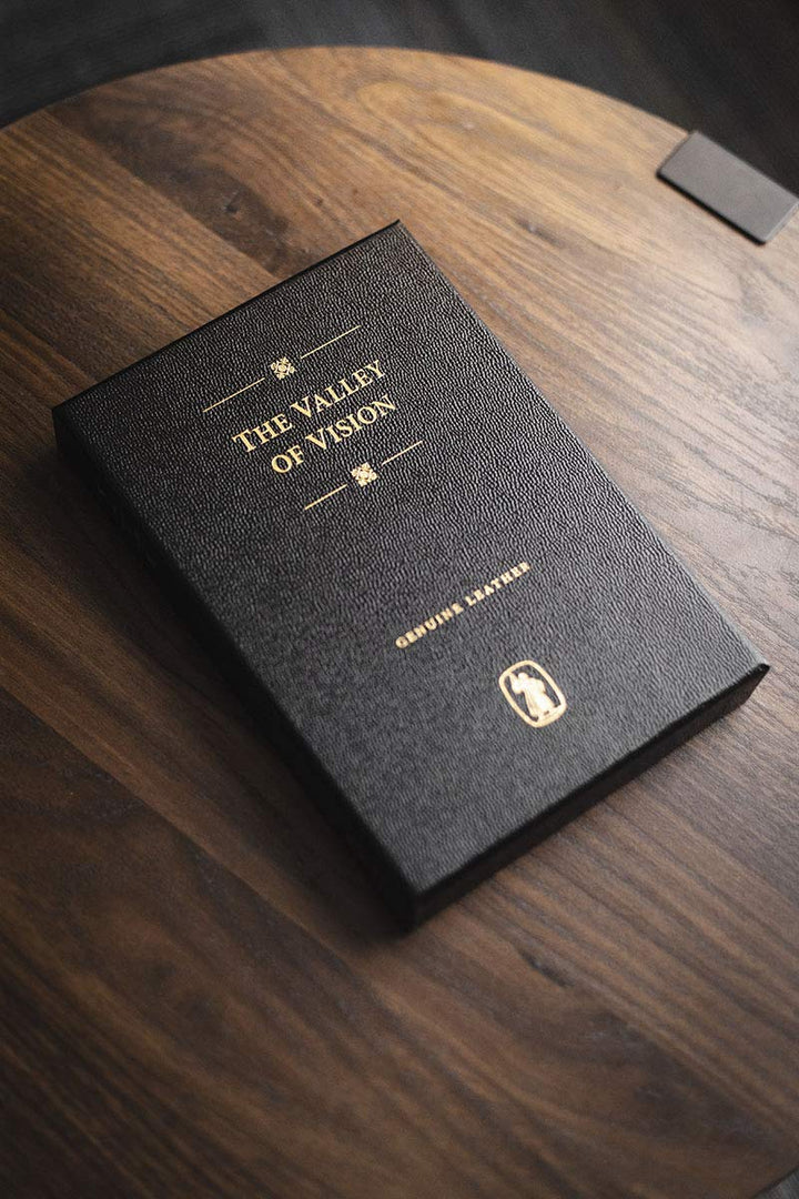 The Valley of Vision Genuine Leather - Re-vived