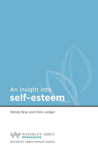 Insight into Self Esteem - Re-vived