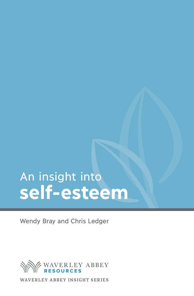Insight into Self Esteem - Re-vived