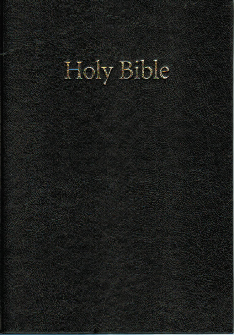 KJV Westminster Reference Bible, Large Print, Vinyl - Re-vived