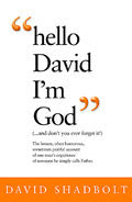 Hello David I'm God Paperback Book - David Shadbolt - Re-vived.com - 1