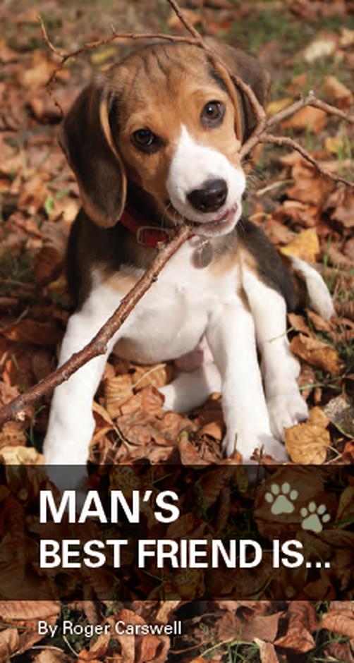 Man's Best Friend - Re-vived
