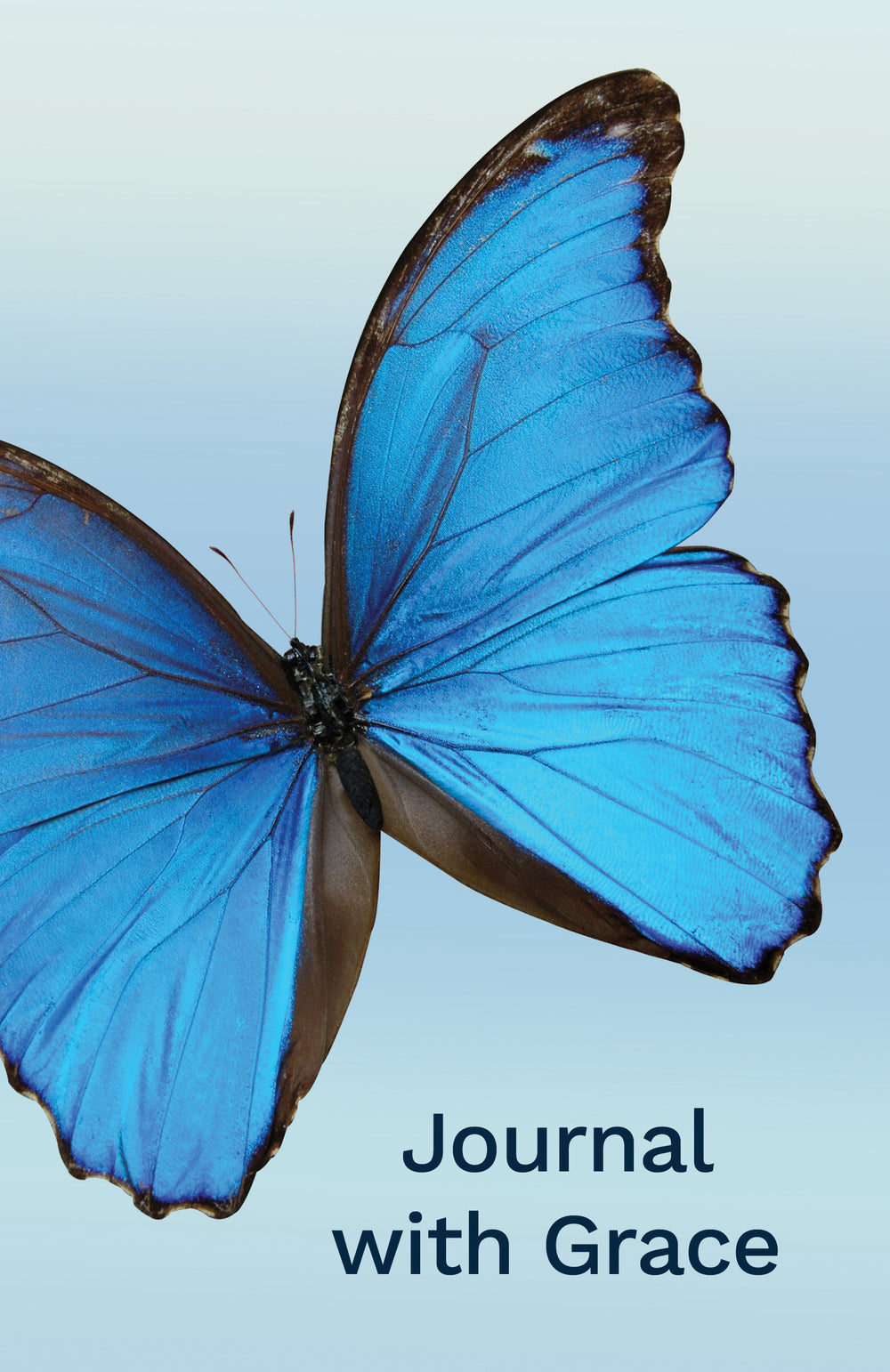 Journal with Grace - Re-vived