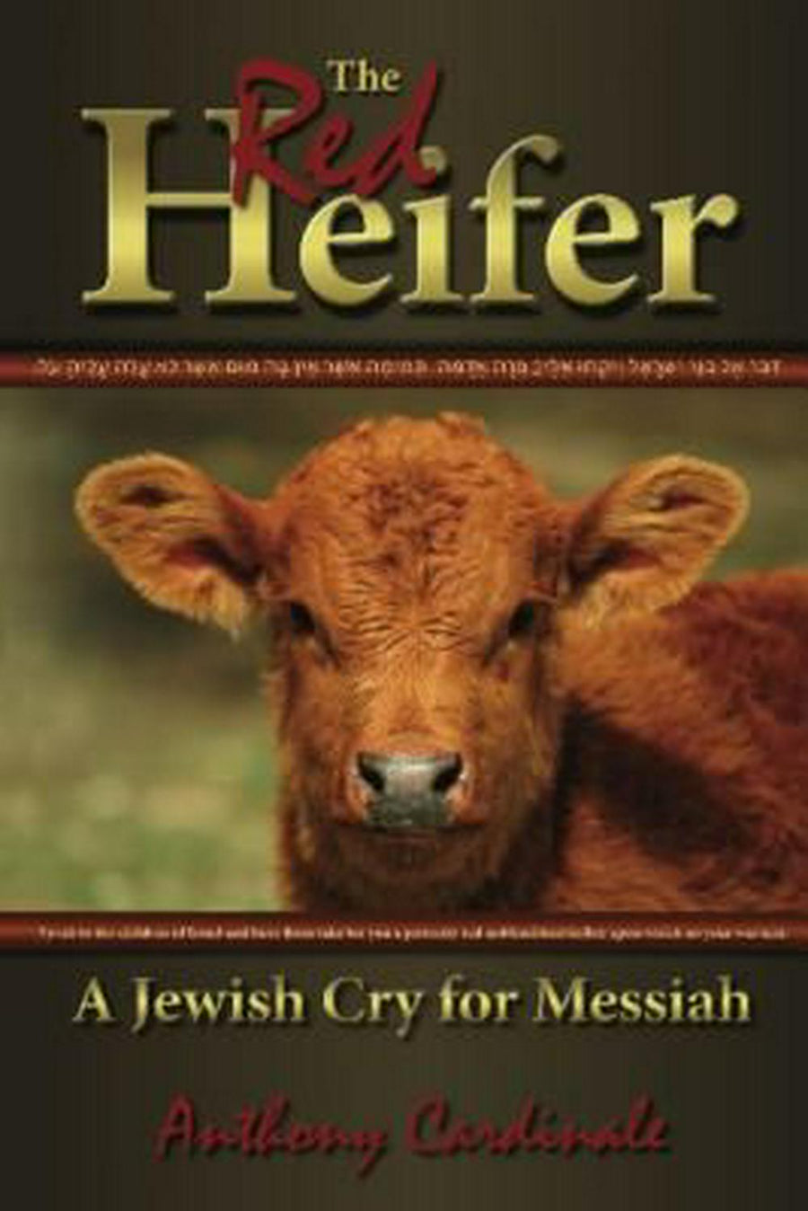 The Red Heifer - Re-vived