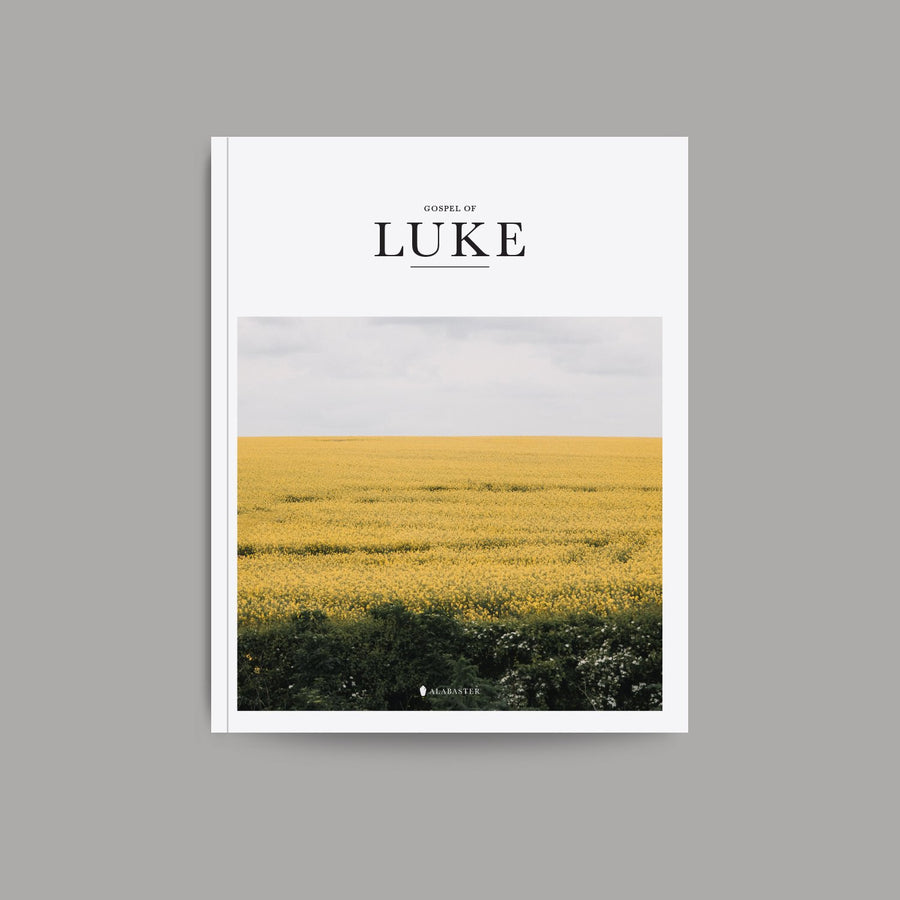 Gospel of Luke - Re-vived