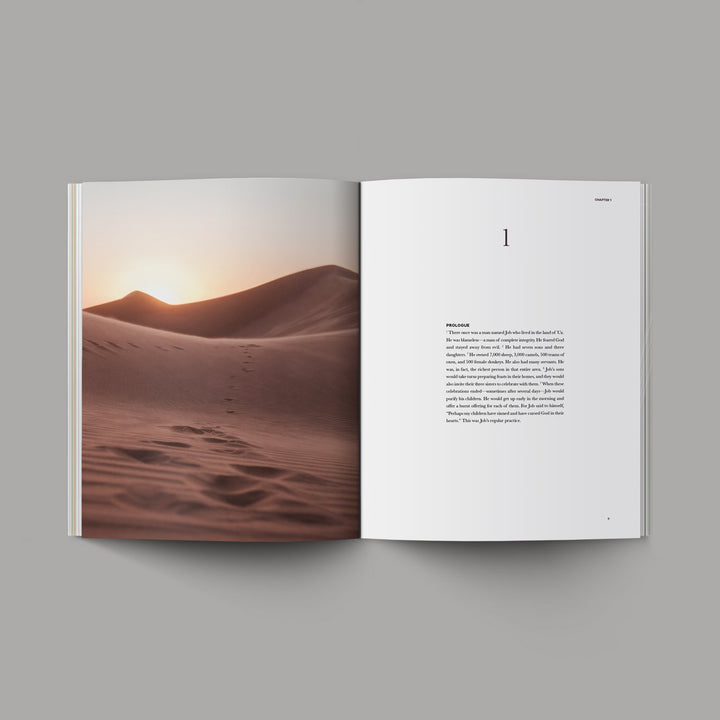 Book of Job - Re-vived